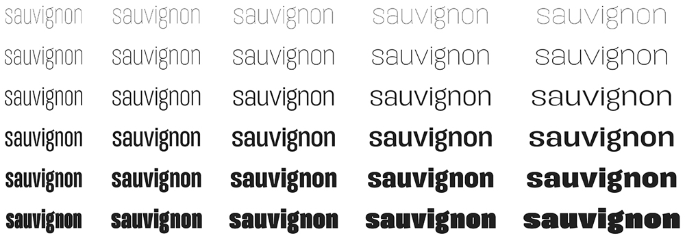 Exploración de nuevas variantes en escenario vectorial