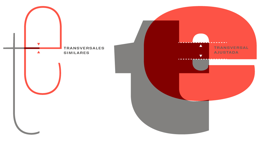 Ajustes en transversales de acuerdo a la variante